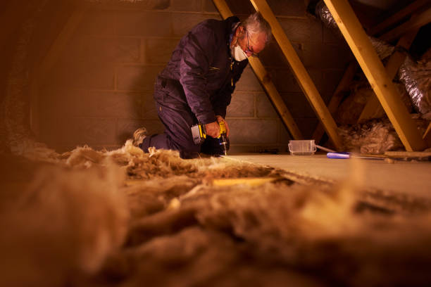 Types of Insulation We Offer in Pleasanton, TX